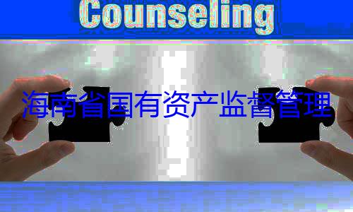 海南省国有资产监督管委副书记王查调查有福接受审理委员会党